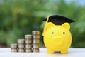 Graduation hat on golden piggy bank with sunglasses and stack of coins money on natural green background, Saving money for Royalty Free Stock Photo