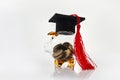 Graduation Hat With Transparent Piggy Bank. College education costs, tuition financial aid. Royalty Free Stock Photo