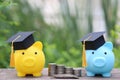 Graduation hat on yellow piggy bank and blue piggy bank with stack of coins money on nature green background, Saving money for Royalty Free Stock Photo