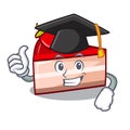 Graduation strawberry cake character cartoon