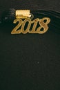 2018 Graduation Tassel