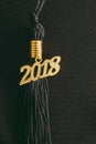 2018 Graduation Tassel