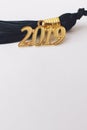 2019 Graduation Tassel