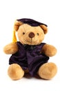 Graduation Teddy Bear Royalty Free Stock Photo