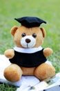 Graduation Teddy Bear Doll Royalty Free Stock Photo