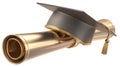 Graduation trophy shaped like cap and scroll, shiny metallic Royalty Free Stock Photo