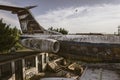 Graffiti-Adorned Abandoned Airplane Detail