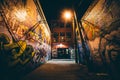 Graffiti Alley at night, in the Station North District, of Baltimore, Maryland. Royalty Free Stock Photo