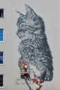 Graffiti artist on aerial work platform drawing cat graffiti on house wall, urban space decoration