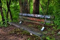 Graffiti bench in the woods Royalty Free Stock Photo
