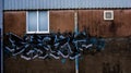 Graffiti blue tag Barnstaple devon