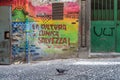 Graffiti on building wall in Naples saying `culture is the only salvation`
