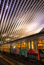 Graffiti-covered train, at Liege-Guillemins train station, designed by Santiago Calatrava