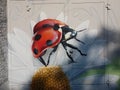 Graffiti, the Ladybug on a camomile