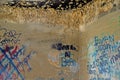 Graffiti and mud dabber nests in an old shack. Royalty Free Stock Photo