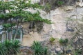 Graffiti on rocks in rural Cuba commemorating Cuban revolution