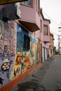 Graffiti on a side wall in downtown mission San Francisco