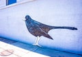 Graffiti wall of a large black bird on white brick