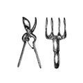 Grafic illustration of garden tools. Isolated on white background.