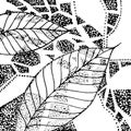 Black and white  grafic leaves Royalty Free Stock Photo