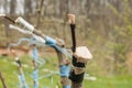 Grafting branches of fruit tree closeup