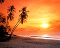 Grafton beach at sunset, Tobago.