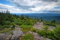 Grafton Notch State Park in Maine