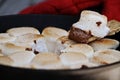 Graham Cracker and Smores Marshmallow Dip Royalty Free Stock Photo