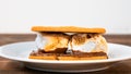 Grahams cracker with marshmallows and chocolate on white plate with copy space above