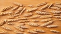 grain background photo , food crisis concept .