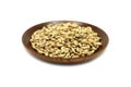 Grain barley malt in a wooden plate