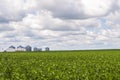 Grain bins and soy bean crop