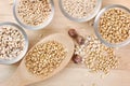 Grain cereal Royalty Free Stock Photo