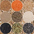 Grain cereal collage circles Royalty Free Stock Photo