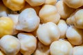 Grain chickpea close-up for sprouting Royalty Free Stock Photo