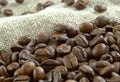 Grain coffee Royalty Free Stock Photo