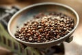 Grain coffee Royalty Free Stock Photo