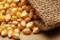 The grain corn in small sack Royalty Free Stock Photo