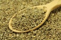 Grain dried anise in a wooden spoon Royalty Free Stock Photo