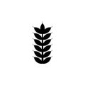 Grain Ear Seed, Spike Wheat, Rye Spica Solid Flat Vector Icon Isolated on White Background Royalty Free Stock Photo