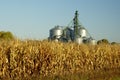 Grain Elevator