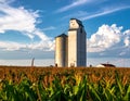 A Grain Elevator Above Corn Field In South Dakota Royalty Free Stock Photo