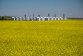 Grain elevator behind field of rapeseed blossoming