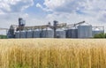 Grain elevator with field of ripe wheat in the foreground Royalty Free Stock Photo
