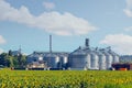 Grain elevator for processing and storage of grain is located in the sunflower field Royalty Free Stock Photo
