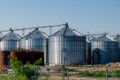 Grain elevator for processing and storage of grain is located in the sunflower field Royalty Free Stock Photo