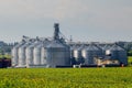 Grain elevator for processing and storage of grain is located in the sunflower field Royalty Free Stock Photo