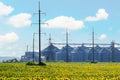 Grain elevator for processing and storage of grain is located in the sunflower field Royalty Free Stock Photo
