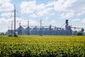 Grain elevator for processing and storage of grain is located in the sunflower field Royalty Free Stock Photo