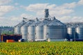 Grain elevator for processing and storage of grain is located in the sunflower field Royalty Free Stock Photo